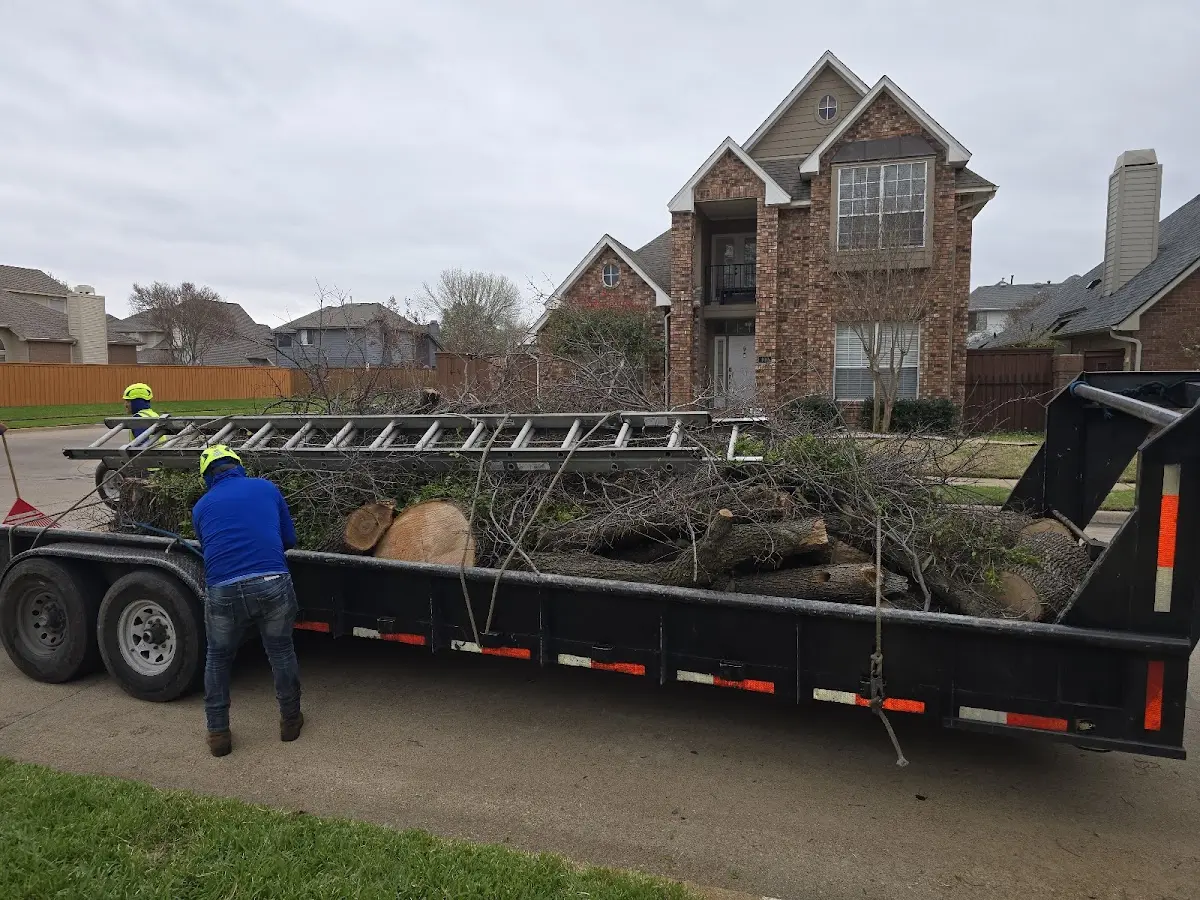 Expert Tree Fertilization with proper safety equipment in Solsville